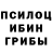 Галлюциногенные грибы Psilocybine cubensis wlad derewenkj