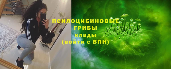 синтетический гашиш Богородицк