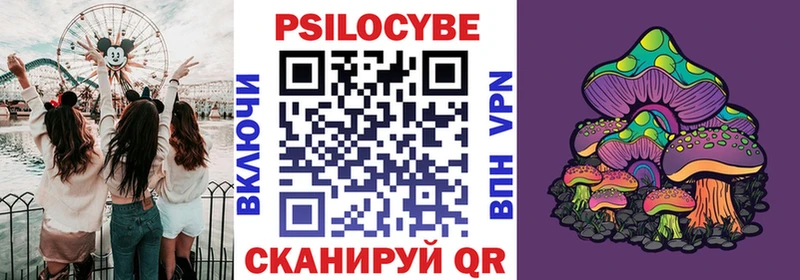 Псилоцибиновые грибы Psilocybe  купить наркотик  Корсаков 